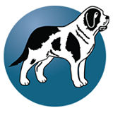 Bernard Health