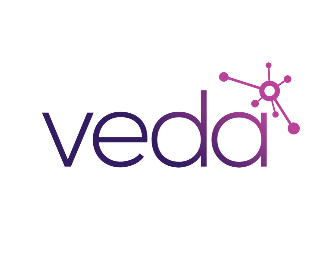 VEDA Data Solutions